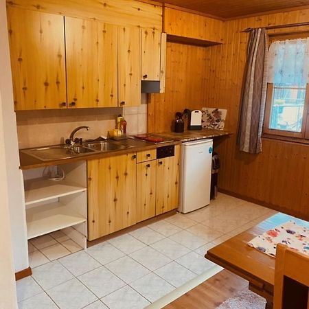 Guenstig Und Einfaches Studio Auf Dem Bauernhof Zuoz Εξωτερικό φωτογραφία