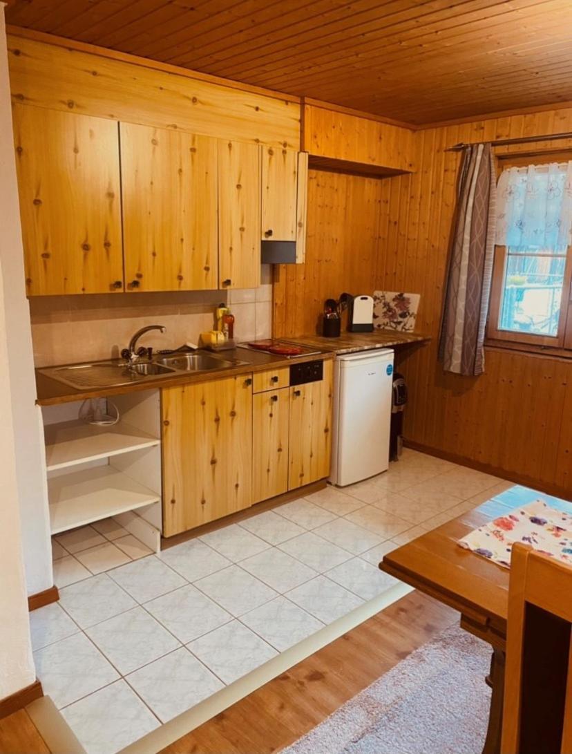 Guenstig Und Einfaches Studio Auf Dem Bauernhof Zuoz Εξωτερικό φωτογραφία